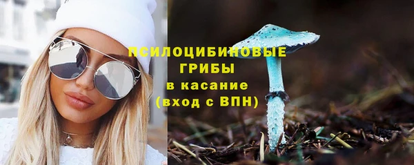 шишки Зеленокумск