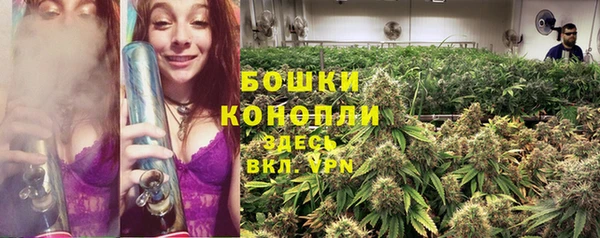 шишки Зеленокумск