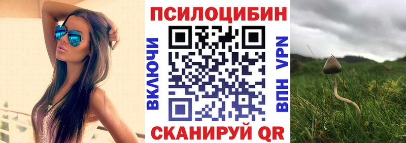 Псилоцибиновые грибы MAGIC MUSHROOMS  нарко площадка телеграм  Тетюши 