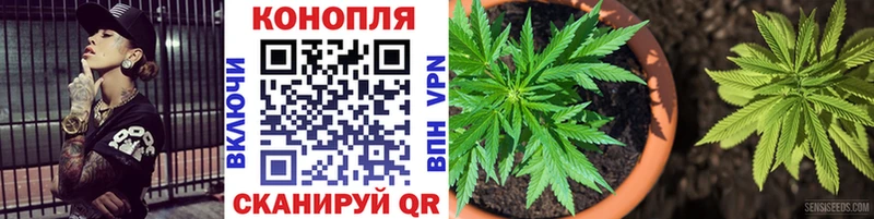 Бошки марихуана сатива  где продают   Тетюши 